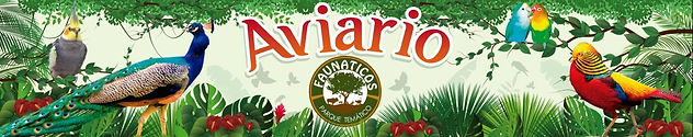 AVIARIO