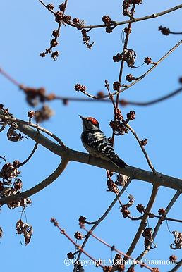 20240109141736_6P4A4759_edited.jpg