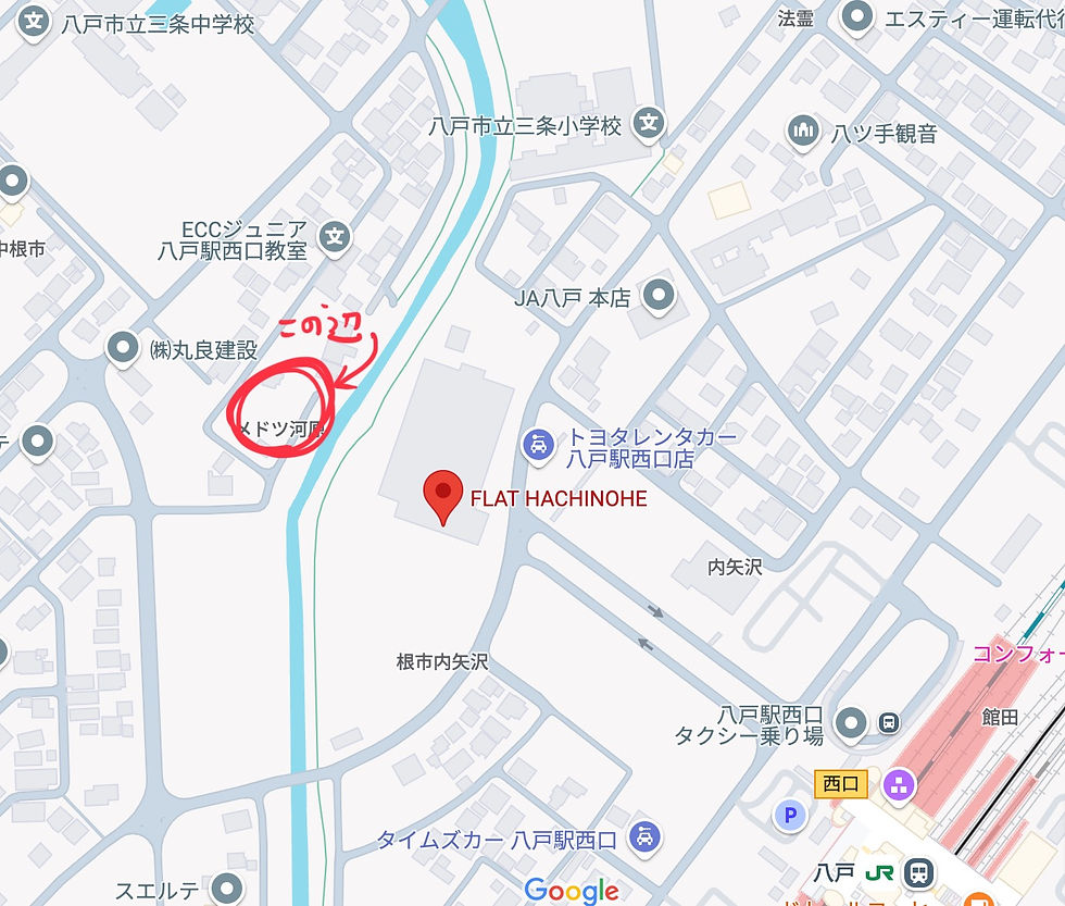 フラット八戸裏のグリーンの建物です。
