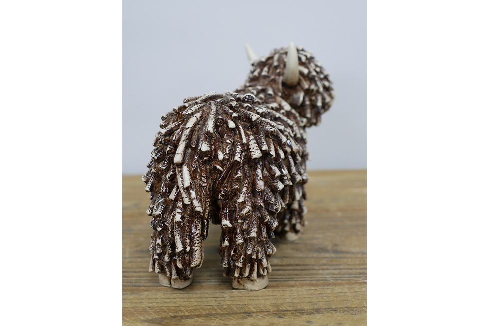 Thumbnail: Charming Standing Highland Cow