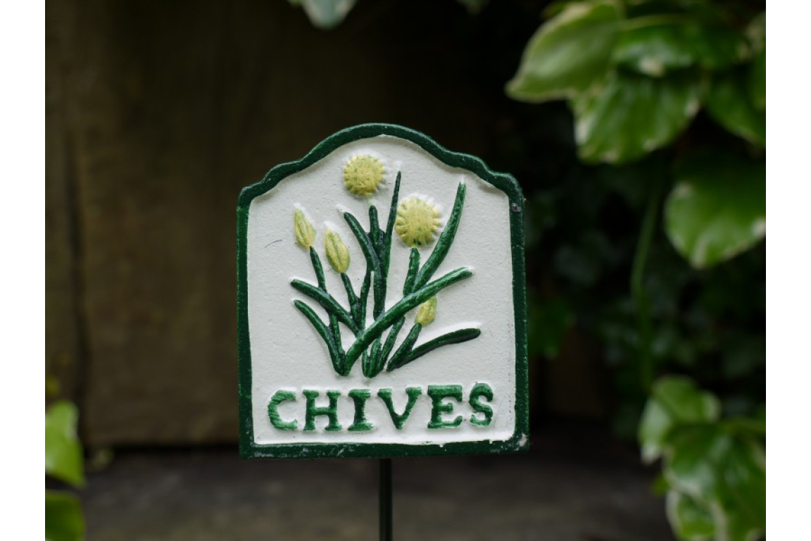 Herb Sign (Chives)