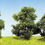 Thumbnail: Bushes 50mm (3)