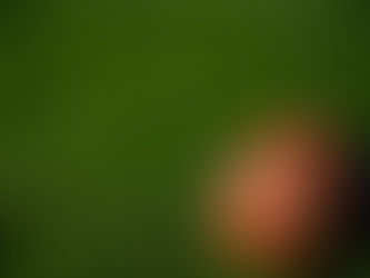 My love-hate relationship with cricket