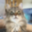 Kima_edited.jpg