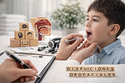 ChatGPT Image 15 ene 2026, 13_07_18.png