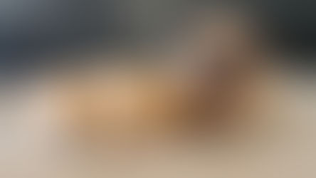 Naissance: Raïka et Rodin