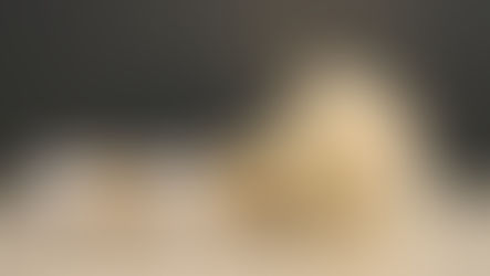 Naissance: Laly et Filou