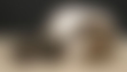 Naissance: Vanity et Honorian