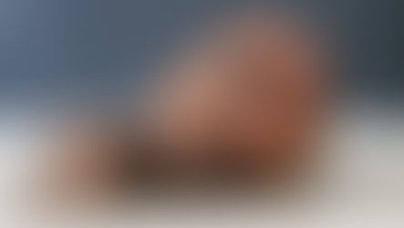 Naissance: Rumba et Paco