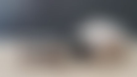 Naissance: Vanity et Ulysse