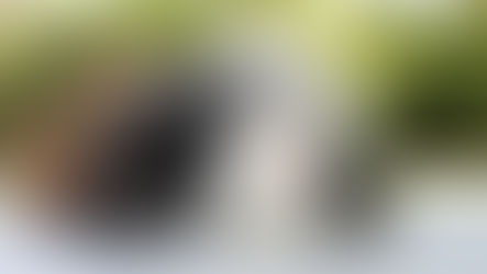 Couple: Janv. à Mars 2024 - Naissance: Mars à Mai 2024