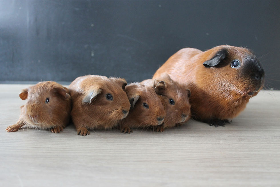 T'Elisabeth et Uniqlo - 13 juillet 2025 - A25042 A25043 A25044 A25045.JPG