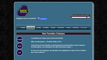 10 ans: Notre site et Facebook
