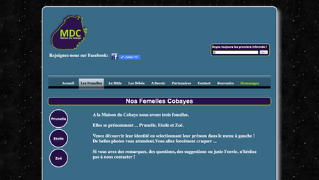 10 ans: Notre site et Facebook