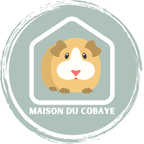 Photo du rédacteur: Jonathan - MaisonDuCobaye
