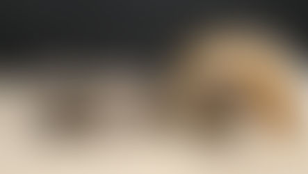 Naissance: Éris et Roby