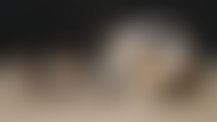 Naissance: Sissi et Honorian