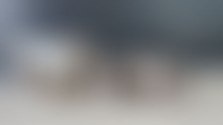 Naissance Vanity et Luke