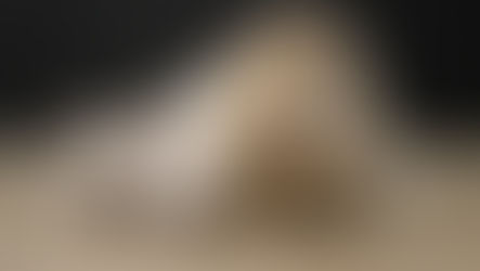 Naissance: Octavia et Radjah