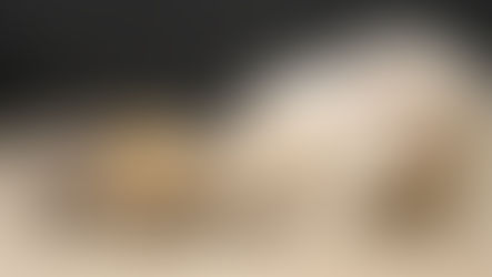 Naissance: Leïa et Darwin