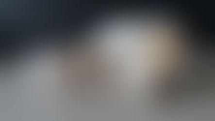 Naissance: Sibel et Radjah - 10 septembre 2022