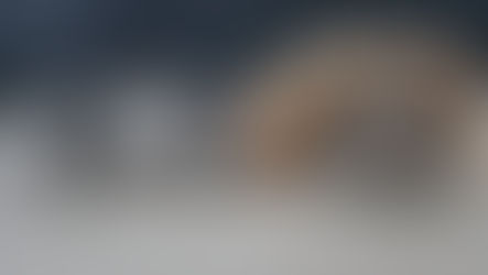 Naissance: Éris et Ulysse