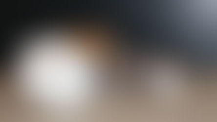 Naissance Billywig et Lord