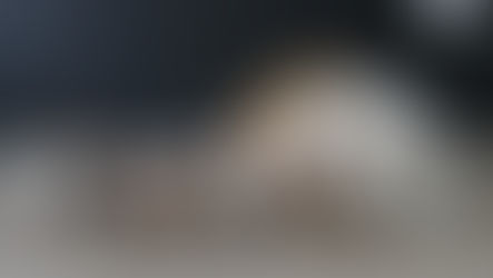 Naissance: Billywig et Poker