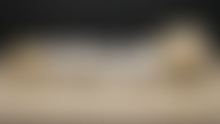 Naissances: Janvier et Février 2024