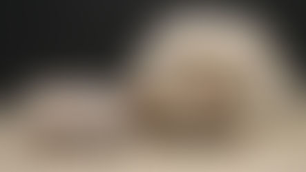 Naissance: Raven et Rubens