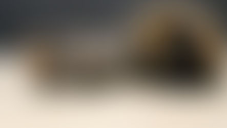 Naissance: Hygie et Rakhshan