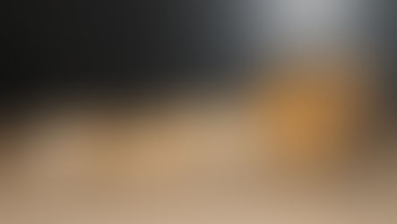 Naissance: Cannelle et Rio