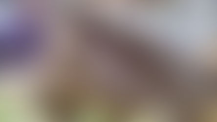 Orage #226 et Nuage #227