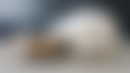 Naissance: Leïa et O'Malley