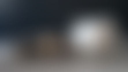 Naissance Octavia et O'Malley