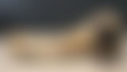 Naissance: Nala et Rodin