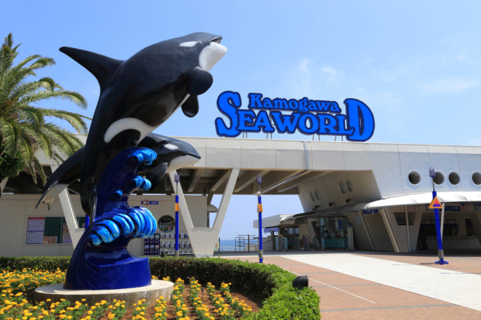 And SEA（アンドシー）