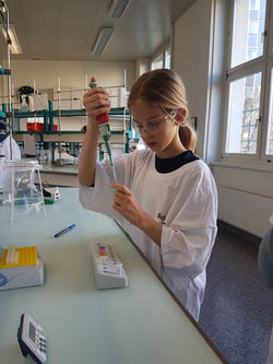 20190205_134749_resized