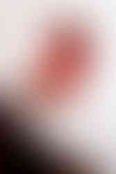 Carol Singer at The Morris