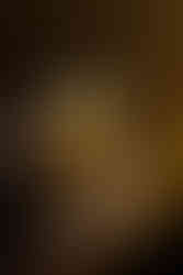 Snowball at Schofield's Bar