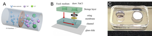 Congratulations!  Zong-Han's paper has been accepted as MicroTAS2020 Poster presentation