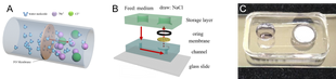 Congratulations! Zong-Han's paper has been accepted as MicroTAS2020 Poster presentation