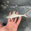 Miniature : Coupe-papier requin Renault 19 – objet publicitaire vintage années 80 – Rare