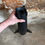 Thumbnail: Iron Whaler Harpoon Head on Base – 20th Century Marine and Fishing Object