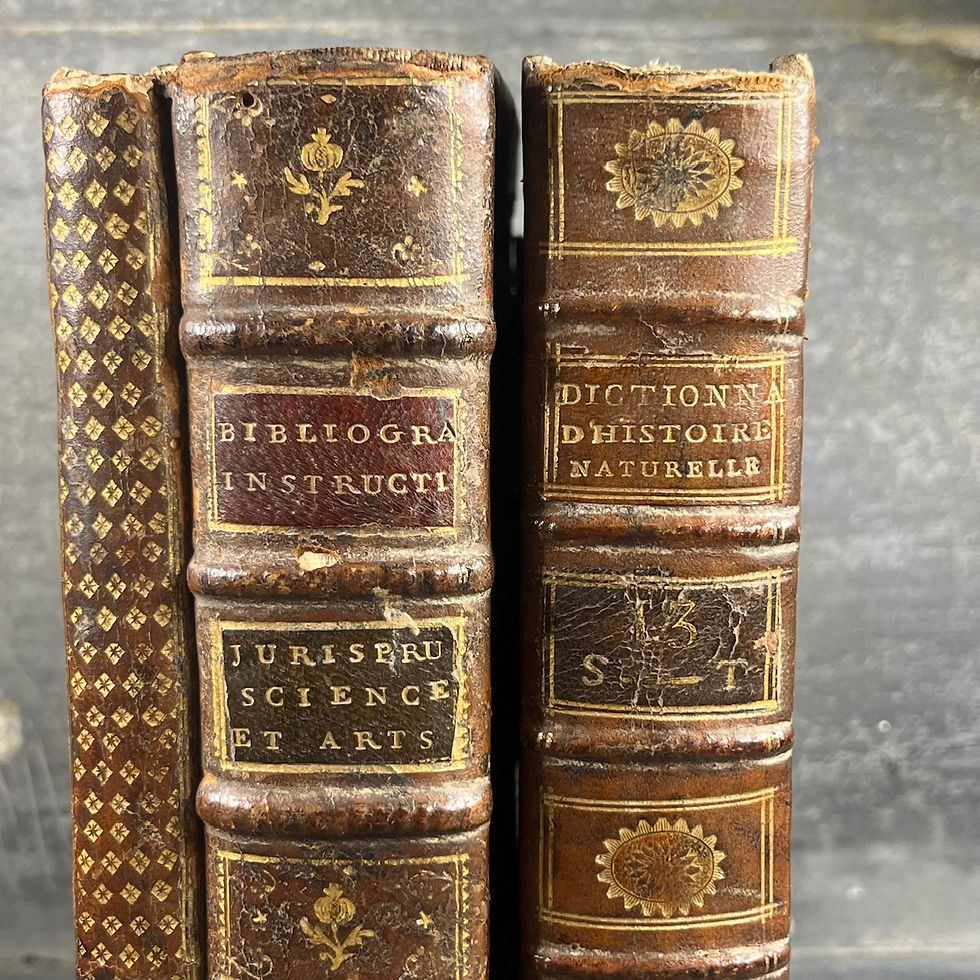 Thumbnail: Secret box disguised as books, leather, France circa 1790–1820, trompe-l'œil