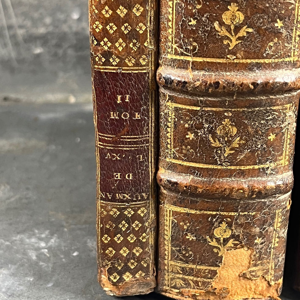 Thumbnail: Secret box disguised as books, leather, France circa 1790–1820, trompe-l'œil