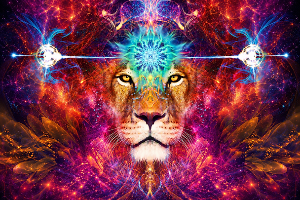 ChatGPT Image Jun 13, 2026, 10_35_29 PM.png