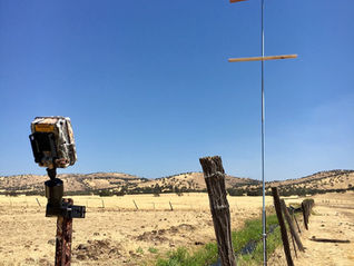 New paper: raptor perches in rangelands