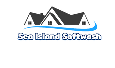 softwash transparent no LLC(1).png