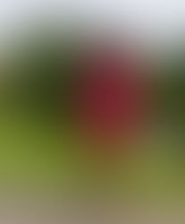 How to Slay at Work: 10 Business Casual Clothing Items You Need